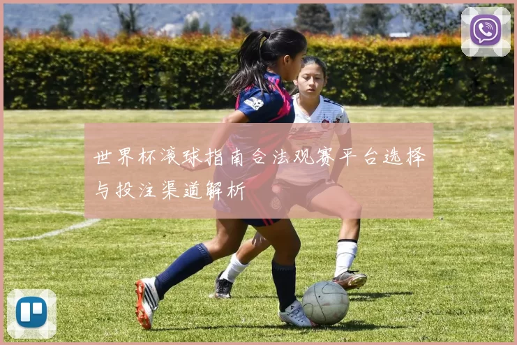 世界杯滚球指南合法观赛平台选择与投注渠道解析