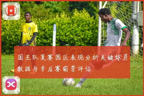 国王队复赛园区表现分析关键球员数据与季后赛前景评估