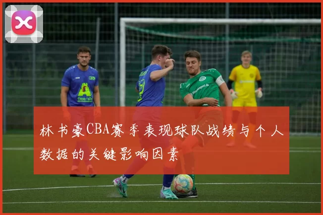 林书豪CBA赛季表现球队战绩与个人数据的关键影响因素